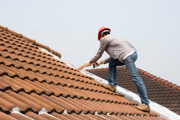 Best Roof Ventilation Installation  in Beaufort, NC