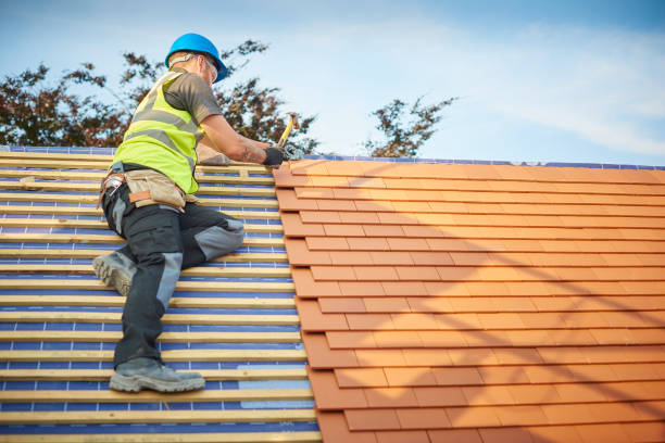 Best Siding  in Beaufort, NC